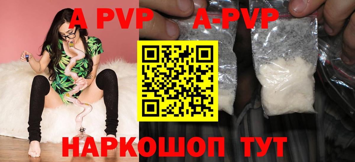 Альфа ПВП СК КРИС Курск